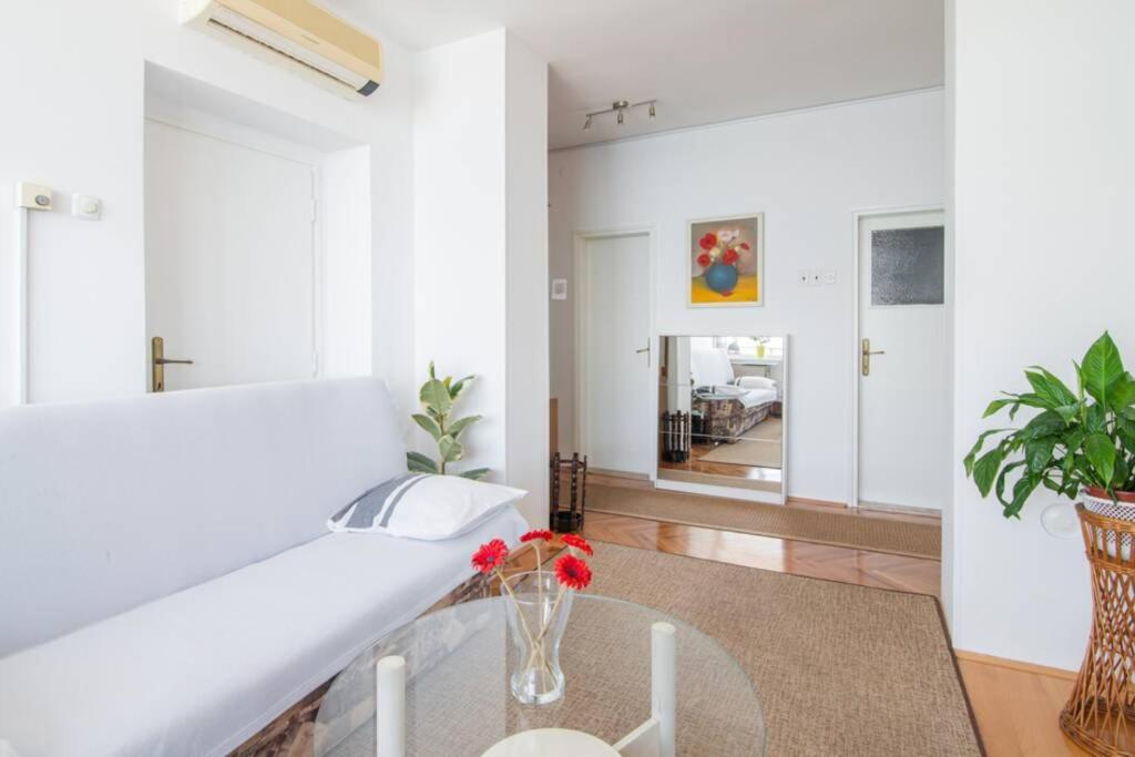 Apartma Milena 科佩尔 外观 照片