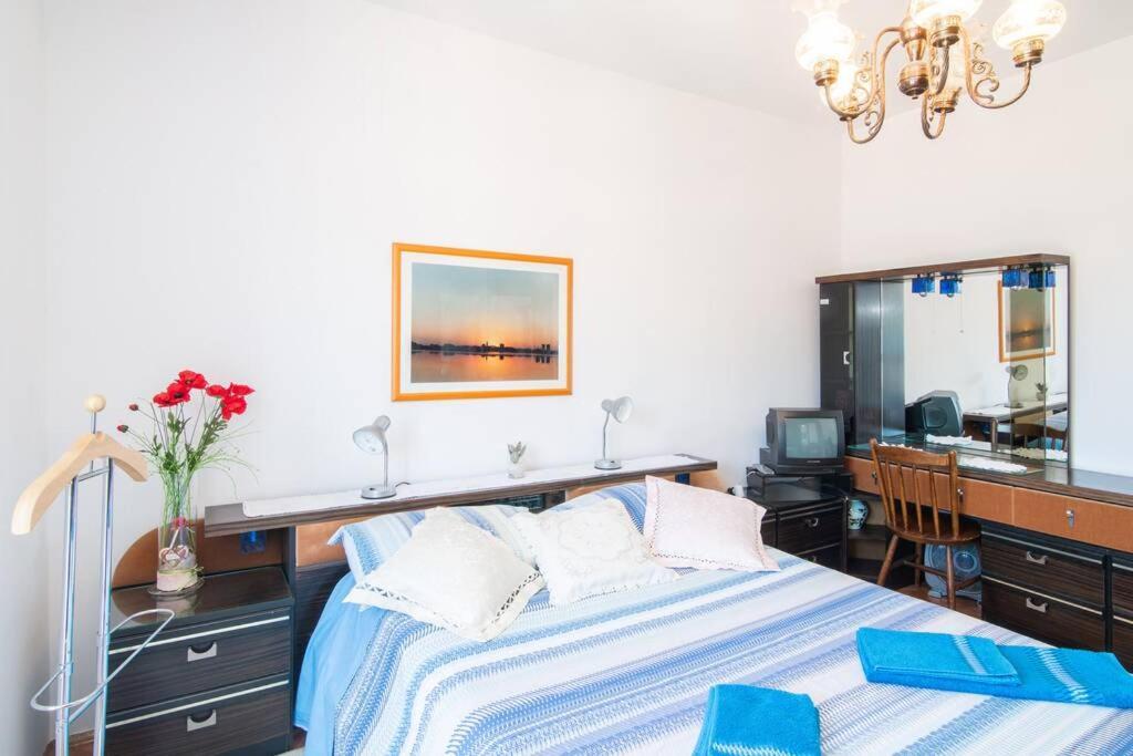 Apartma Milena 科佩尔 外观 照片
